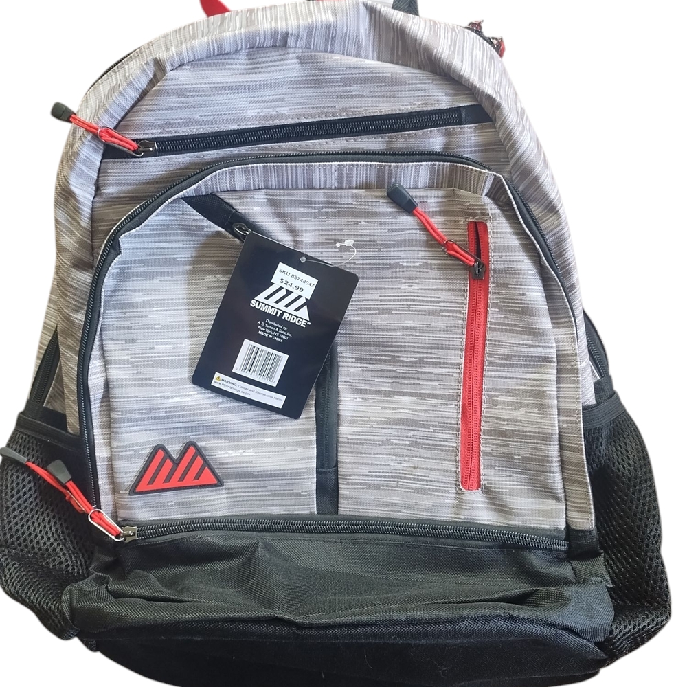 Gray and Black Men's Backpack